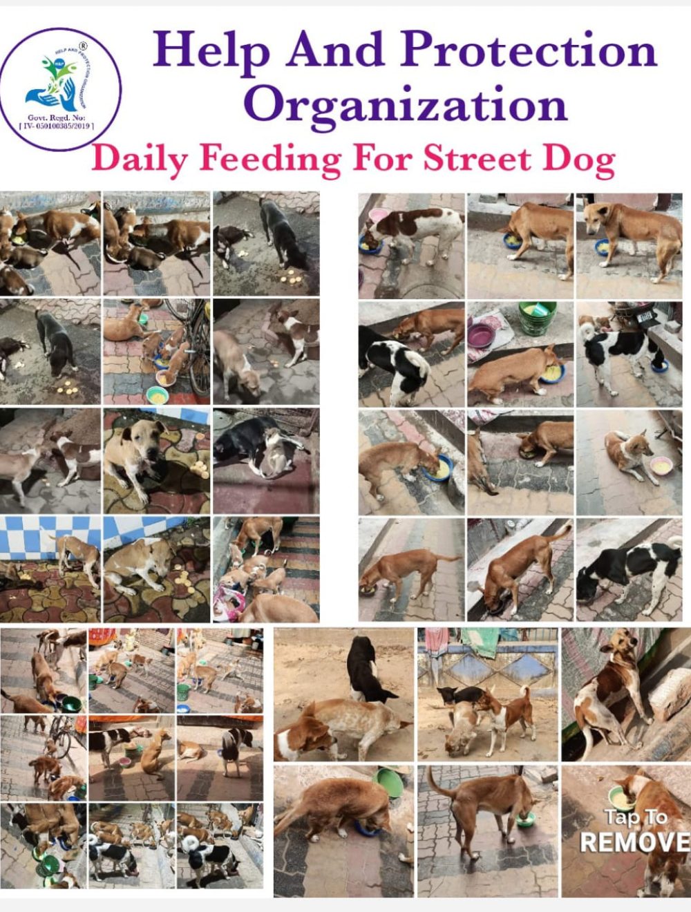 IMG-20230902-WA0002(12)