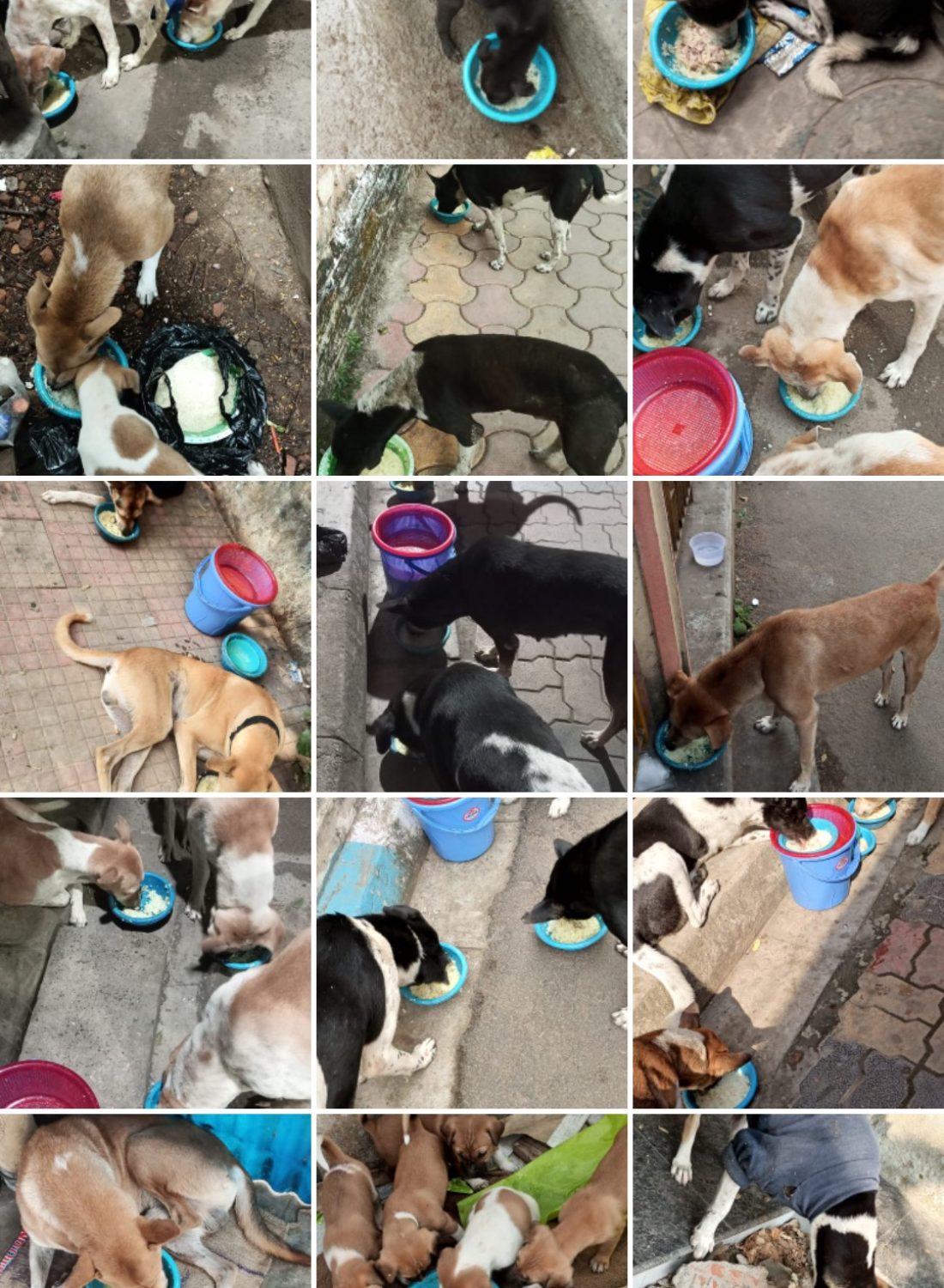 Screenshot_20250311_184130