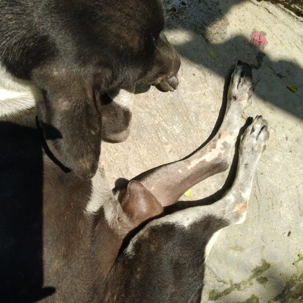 WhatsApp Image 2025-05-21 at 2.00.37 PM